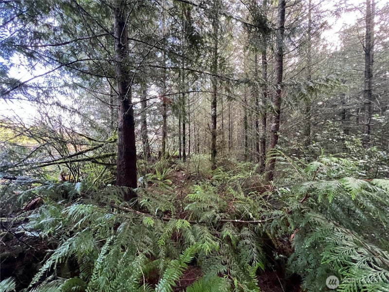 1 Snow Creek Road