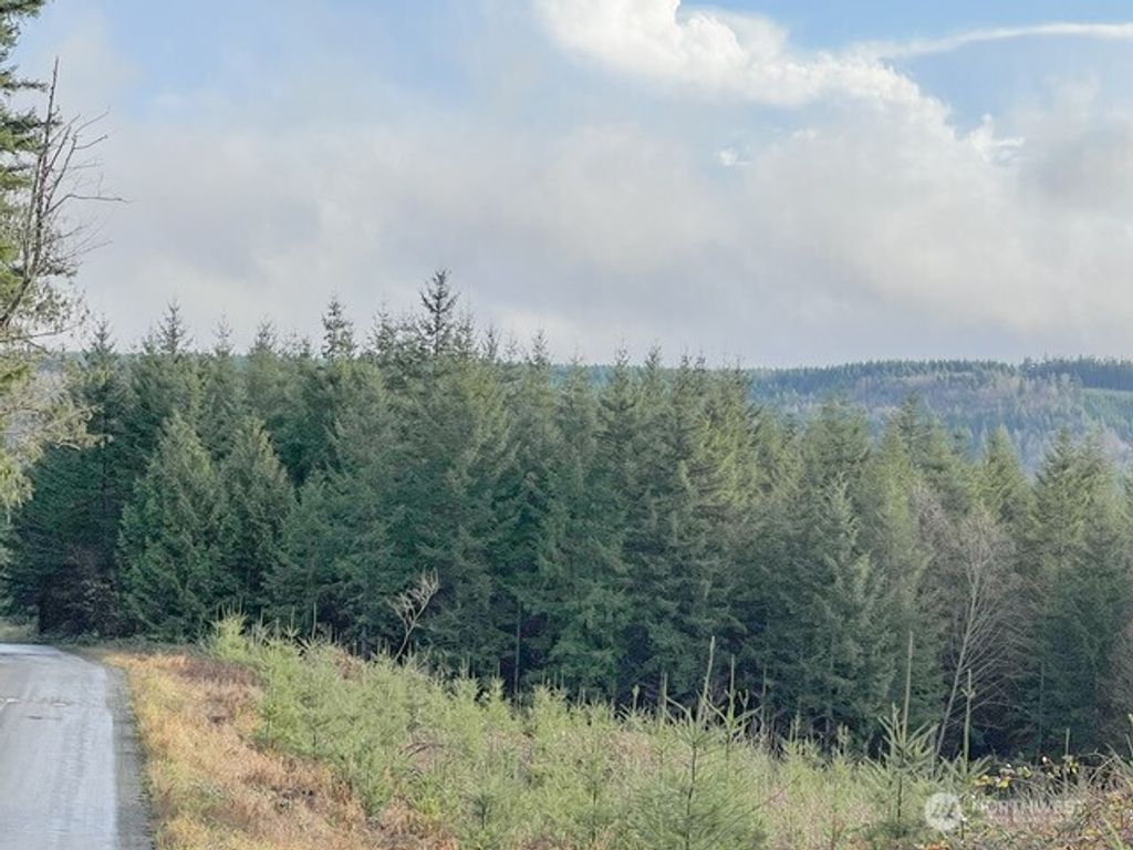 Photo of 1 xxx Snow Creek Road, Quilcene, WA 98376 (MLS # 2461037)