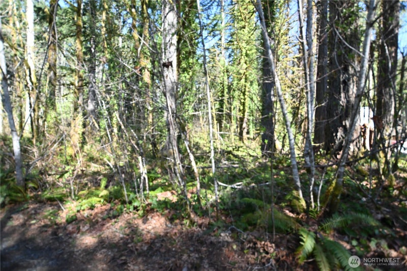0 Old Cascade Hwy