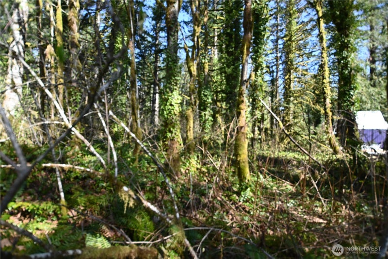 0 Old Cascade Hwy