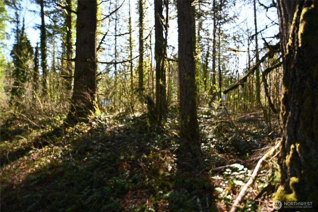 Photo of 0 Old Cascade Hwy, Skykomish, WA 98288 (MLS # 2498730)