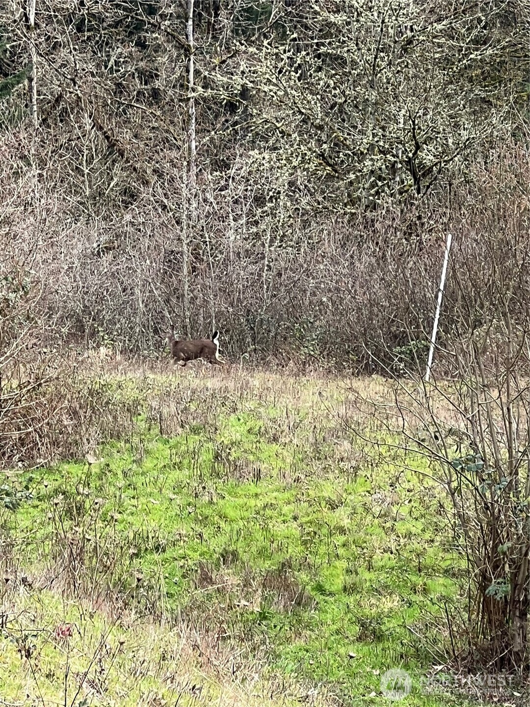 300 Daves View Drive