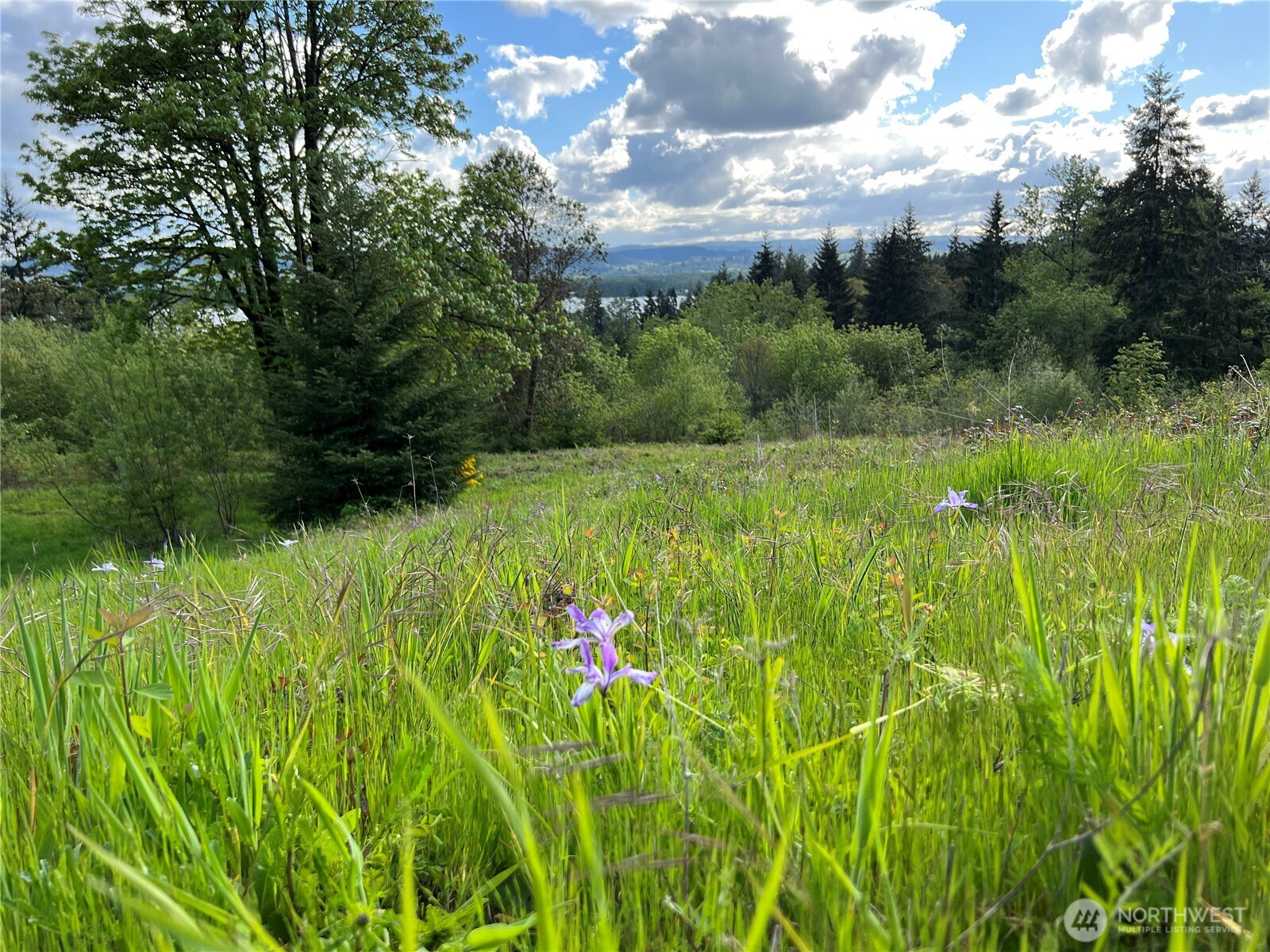 300 Daves View Drive