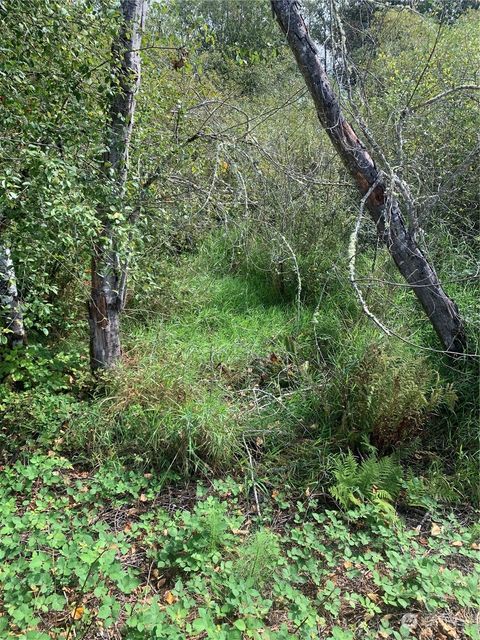 Photo of 93 xx Meadowbrook Way SE, Snoqualmie, WA 98065 (MLS # 2301556)