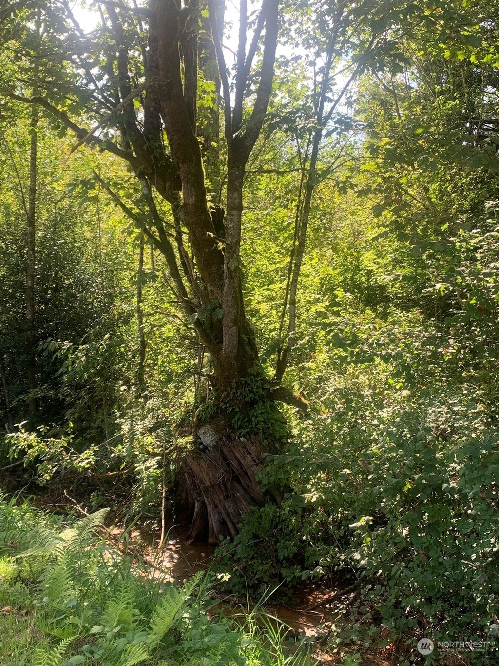 Photo of 93 xx Meadowbrook Way SE, Snoqualmie, WA 98065 (MLS # 2301556)