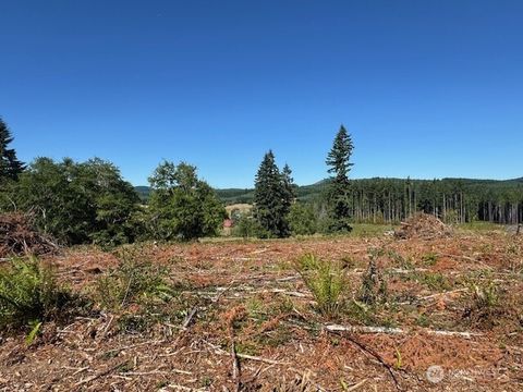 0 Nelson Road Winlock WA 98596