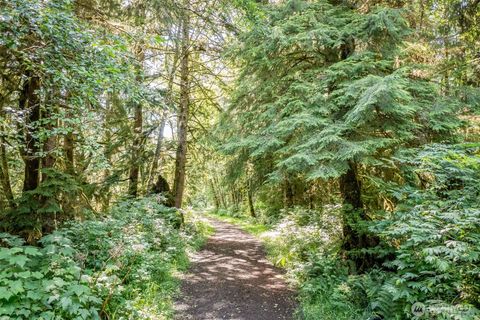 Photo of 1 Swamp Rd, Sekiu, WA 98381 (MLS # 2368114) Photo of 1 Swamp Rd, Sekiu, WA 98381 (MLS # 2368114)