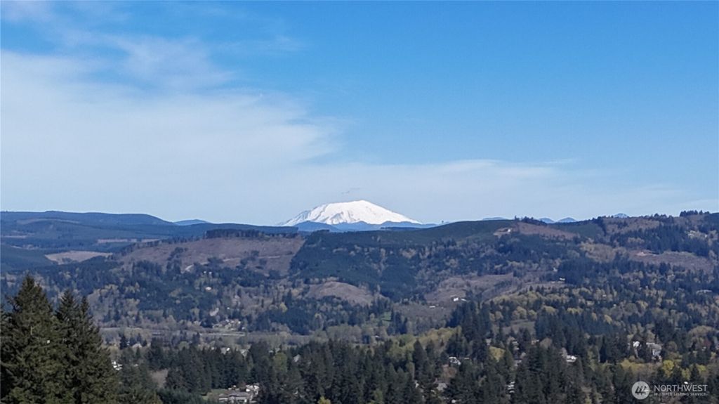 Photo of 260 Livingston Heights Drive, Longview, WA 98632 (MLS # 2504026)