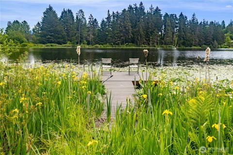 Photo of 1109 S Davies Road, Lake Stevens, WA 98258 (MLS # 2557818)