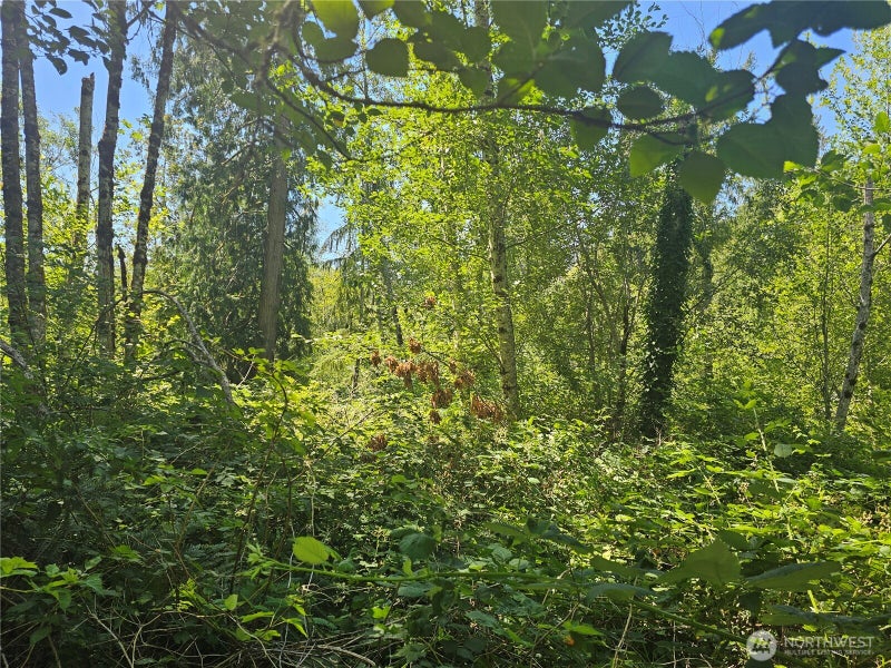 0 Mile Hill Drive SE