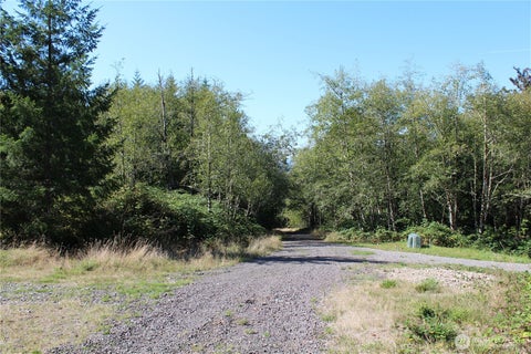 Photo of 0 N Lot H Bodine Road, Kelso, WA 98626 (MLS # 2576896)