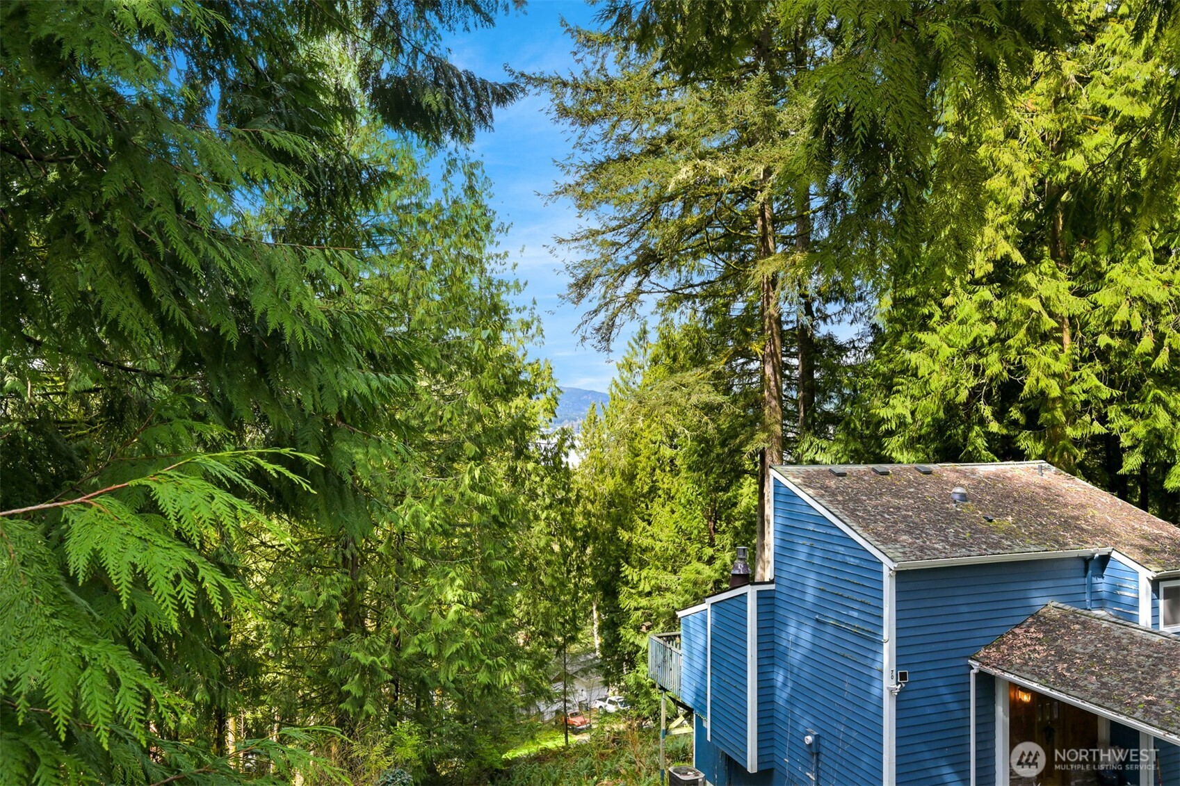 Bellingham, Washington 98229, United States, 3 Bedrooms Bedrooms, ,3 BathroomsBathrooms,Residential,Active,111211