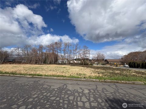 Photo of 0 William Way, Mount Vernon, WA 98273 (MLS # 2497238)