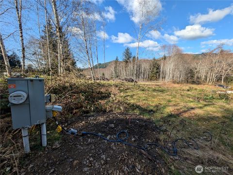 Photo of 215 Elk Creek Ridge Road, Forks, WA 98331 (MLS # 2348238)