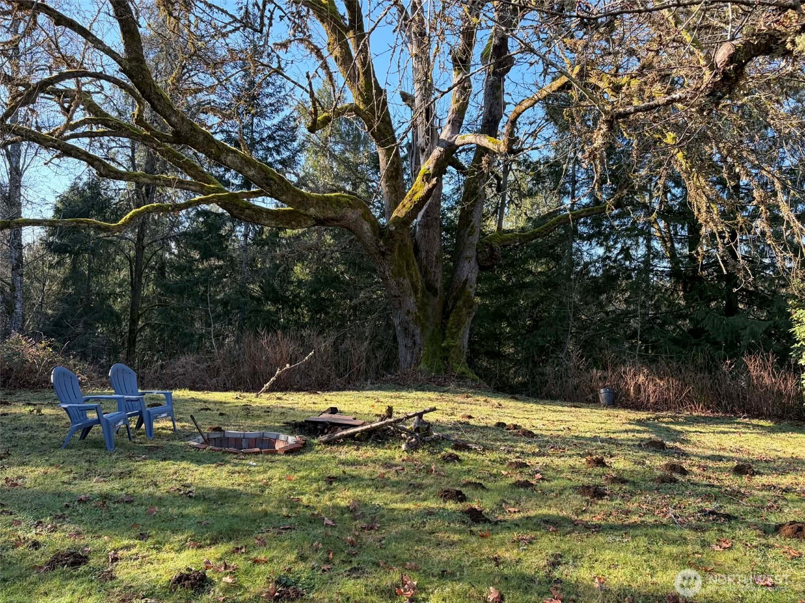 103 NE Belfair Street