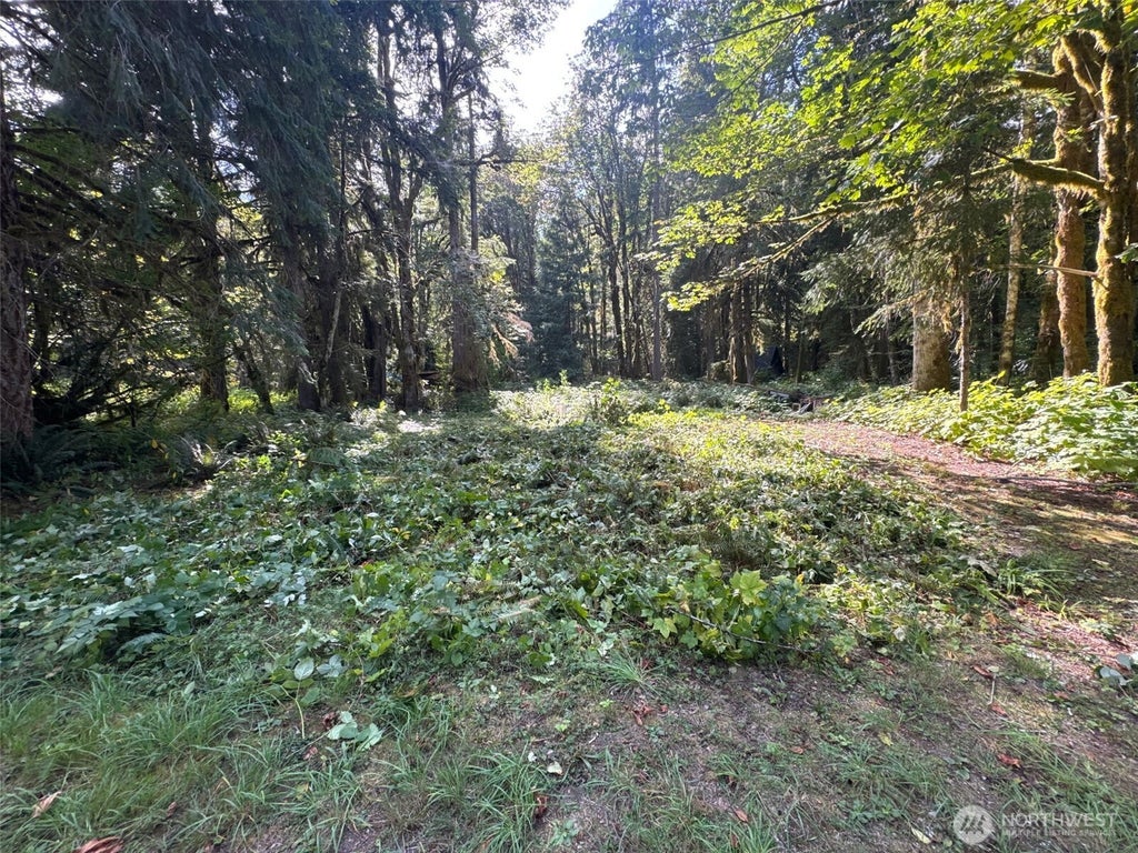 Photo of 63645 NE 190th Street, Baring, WA 98224 (MLS # 2581780)
