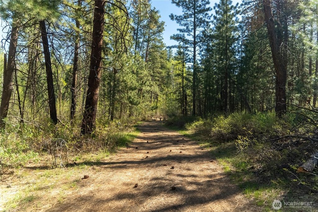 Photo of 19 Stagecoach Road, Carlton, WA 98814 (MLS # 2514123)