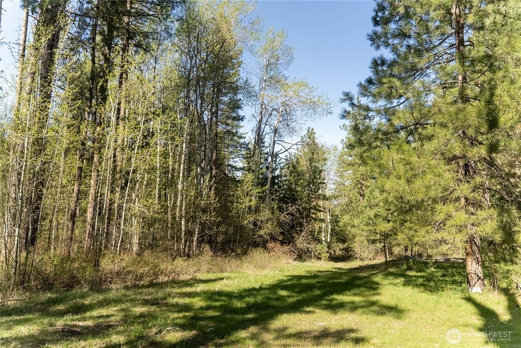 Photo of 19 Stagecoach Road, Carlton, WA 98814 (MLS # 2514123)