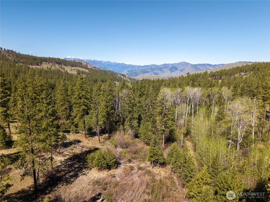 17 STAGECOACH RD, CARLTON, WA 98814 - Image 29f36fafb62f78e0b0ea3ab62eefe90c/3971101190