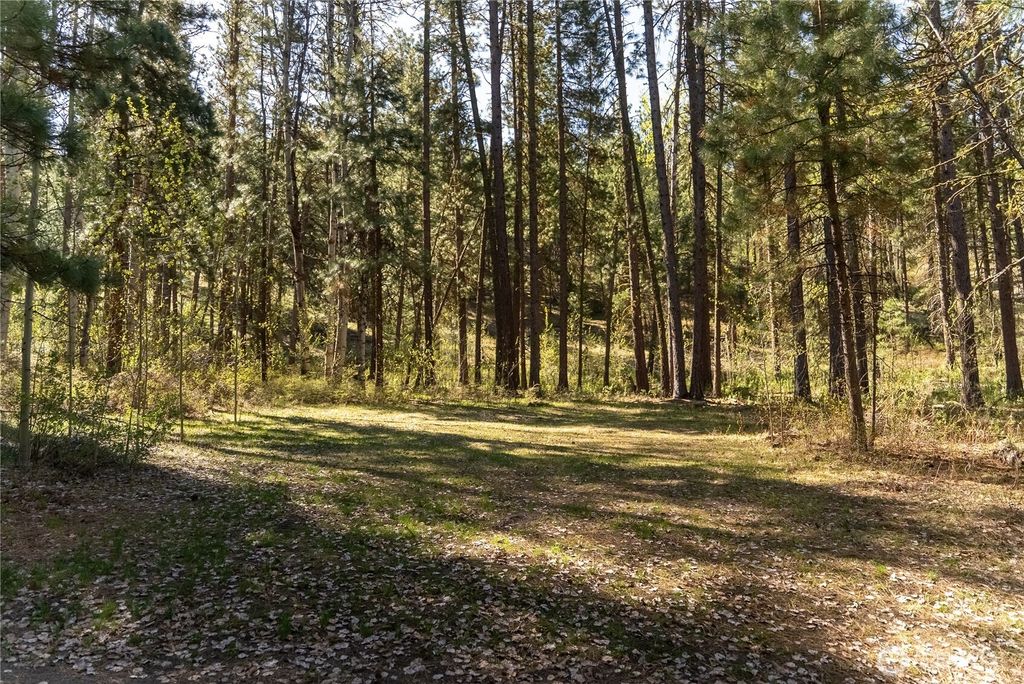 Photo of 19 Stagecoach Road, Carlton, WA 98814 (MLS # 2514123)