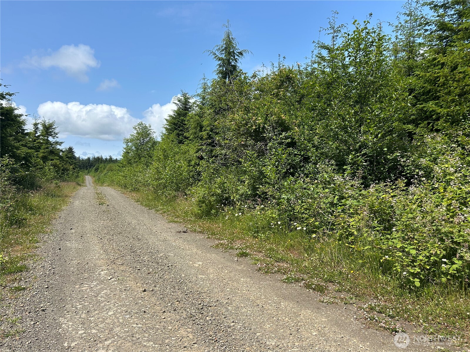 2 E Walberg Road