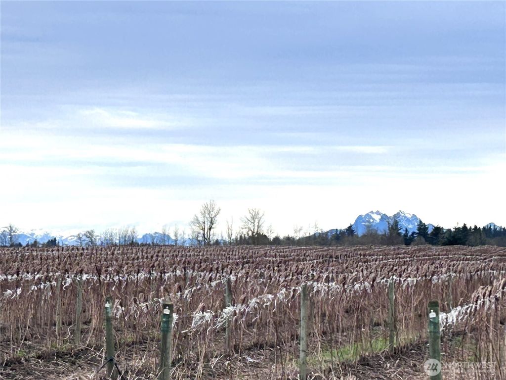 Photo of 17 xx Hampton Road, Everson, WA 98247 (MLS # 2476602)