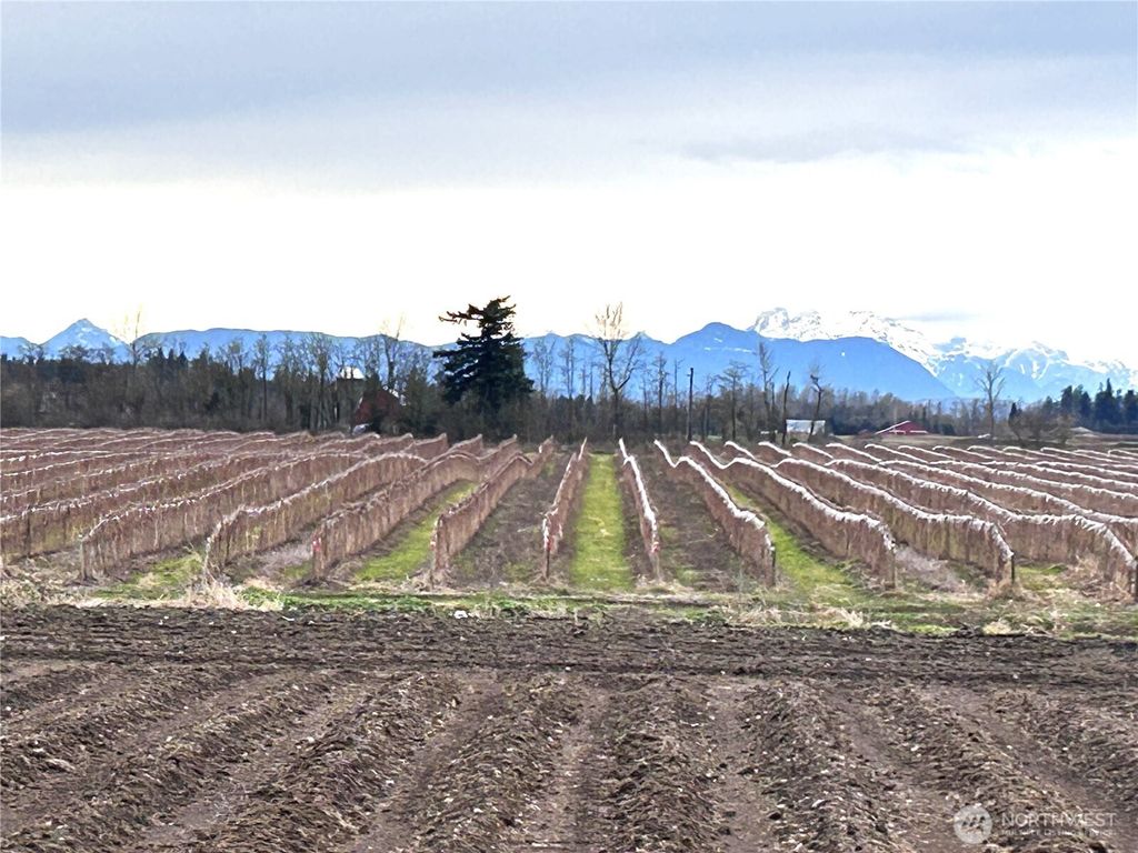 Photo of 17 xx Hampton Road, Everson, WA 98247 (MLS # 2476602)