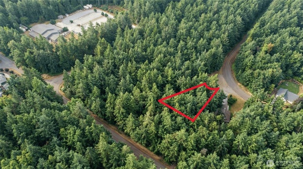 11620 MILL PL, ANDERSON ISLAND, WA 98303 - Image 2a0fd9fd5d79bd60e8bcf845958d782b/571003794