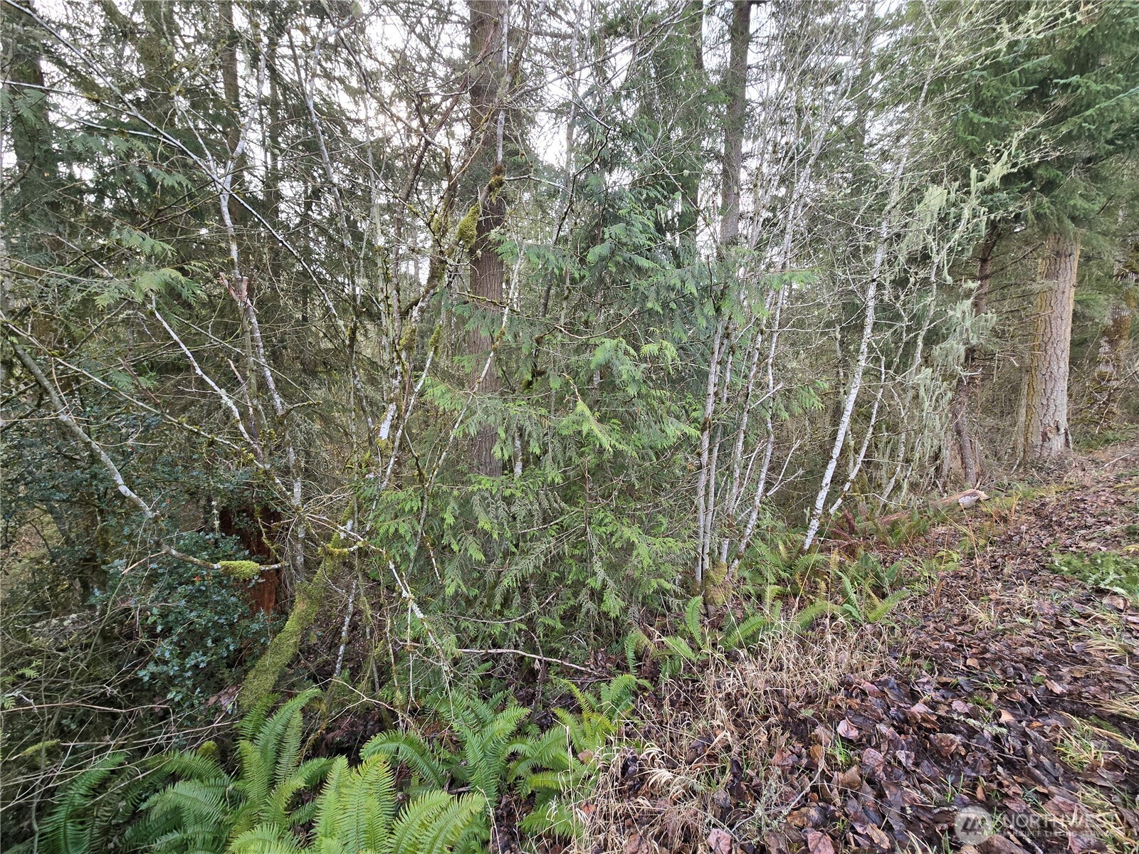 15102 Scott Turner Road E