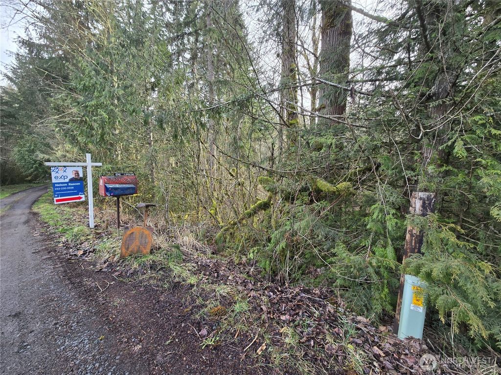 Photo of 15102 Scott Turner Road E, Eatonville, WA 98328 (MLS # 2481778)