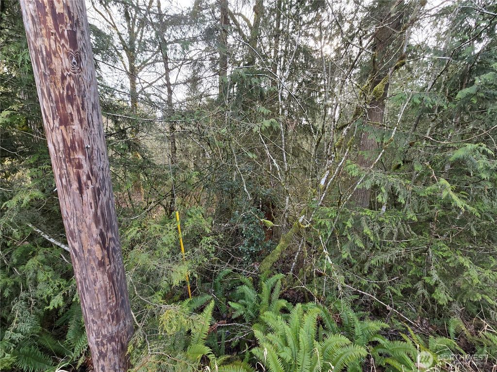 Photo of 15102 Scott Turner Road E, Eatonville, WA 98328 (MLS # 2481778)