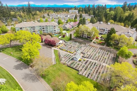 A home in Issaquah