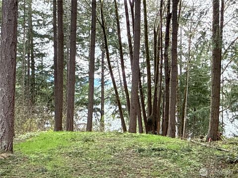 Photo of 18243 SE Suncrest Court, Yelm, WA 98597 (MLS # 2351606)