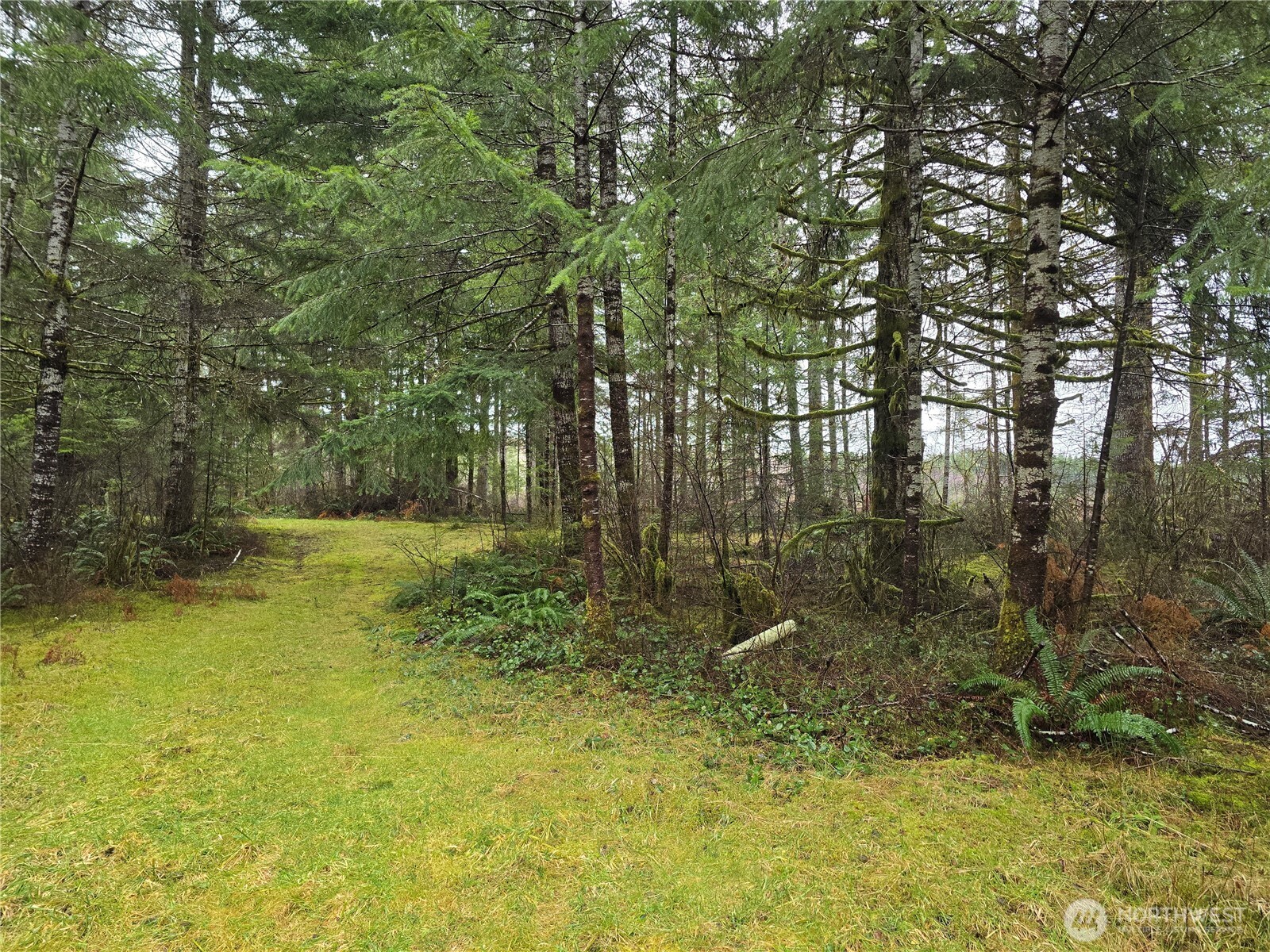 261 W Elk Hill Road