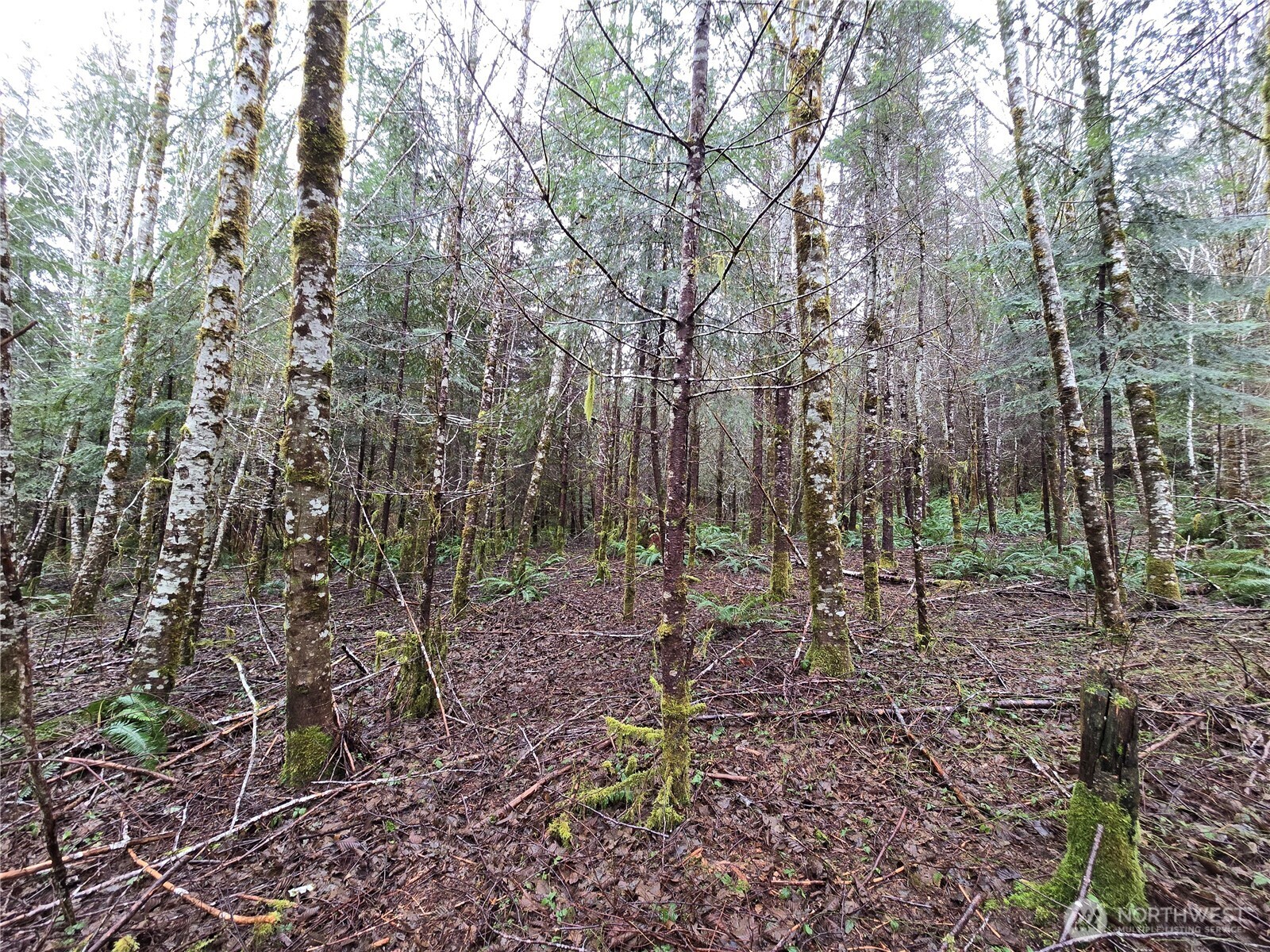 261 W Elk Hill Road