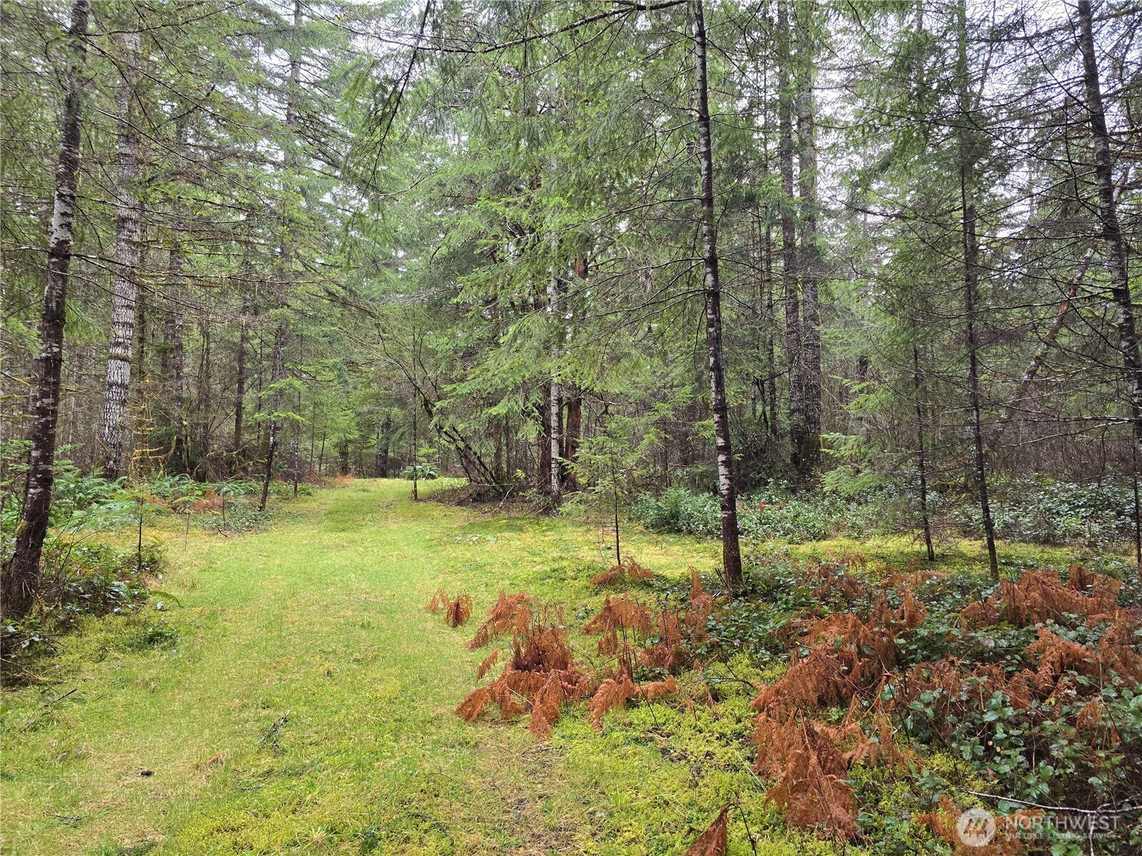 261 W Elk Hill Road