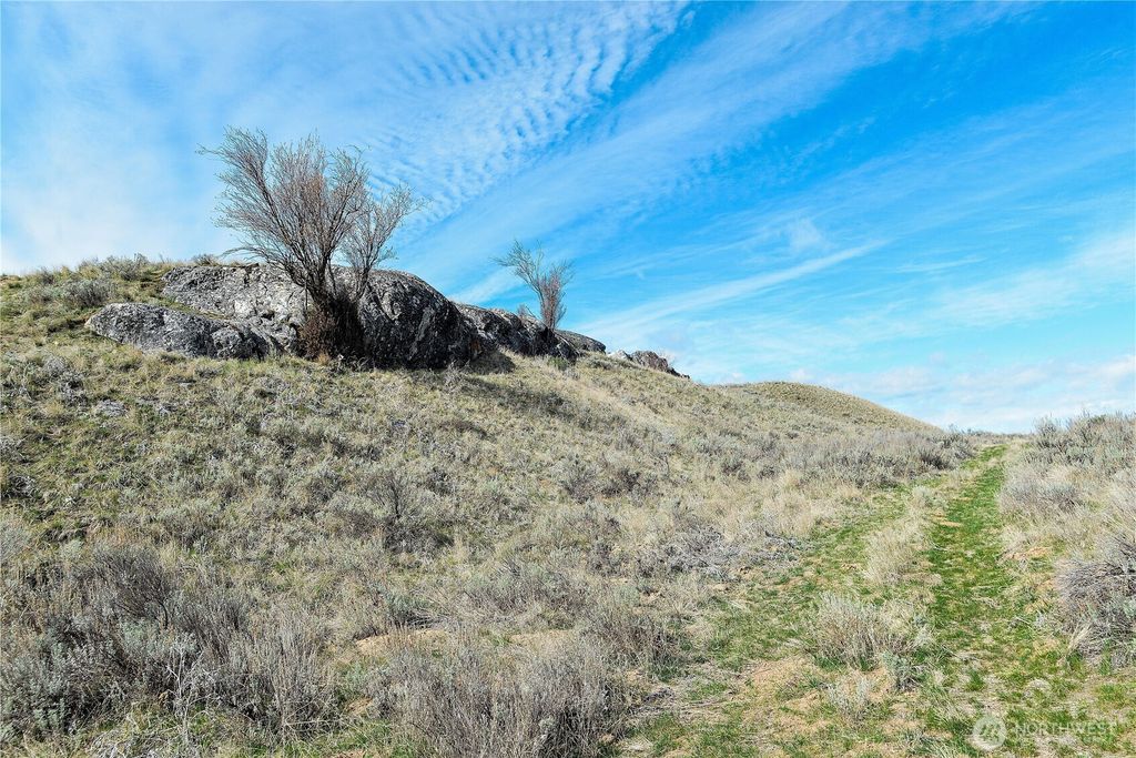 Photo of 0 xxx Emily Road, Oroville, WA 98844 (MLS # 2505266)