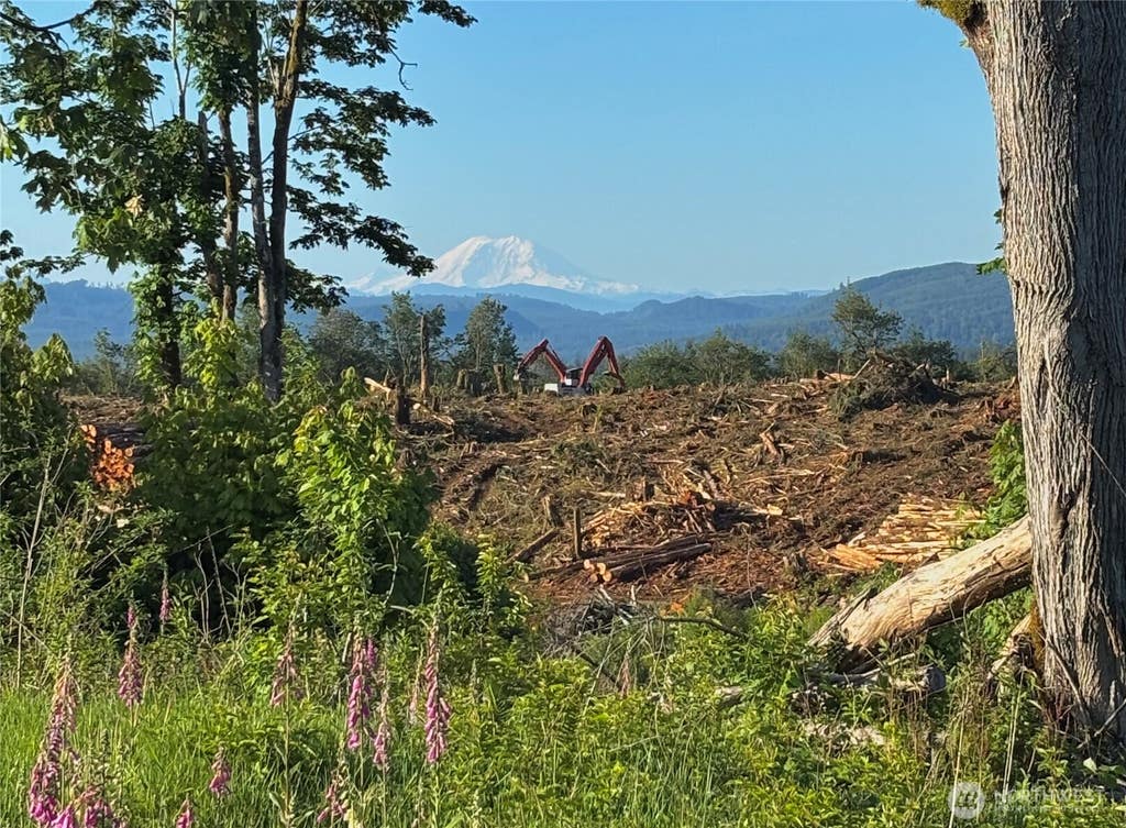 Photo of 27423 Old Pipeline Road, Monroe, WA 98272 (MLS # 2569757)