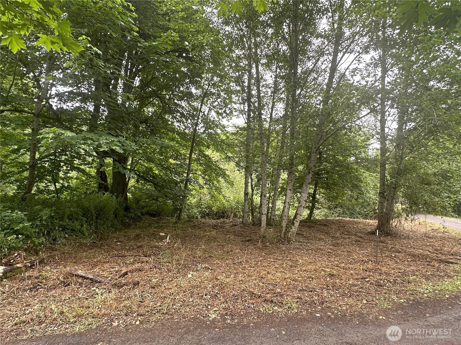 0 Skidder Hill Road