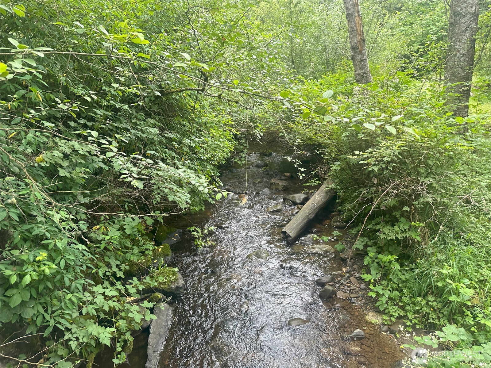 0 Skidder Hill Road