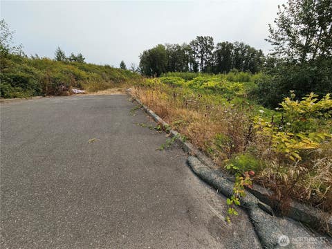 Photo of 0 Main Street, Ferndale, WA 98248 (MLS # 2571831)