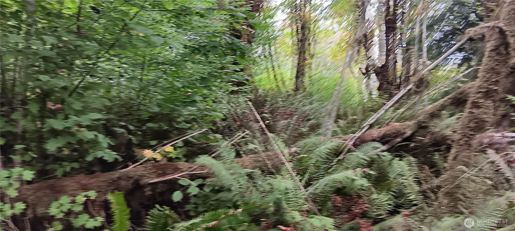 0 W County Line Road