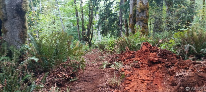 0 W County Line Road