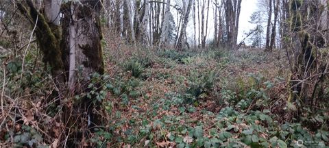 0 W County Line Road McCleary WA 98557