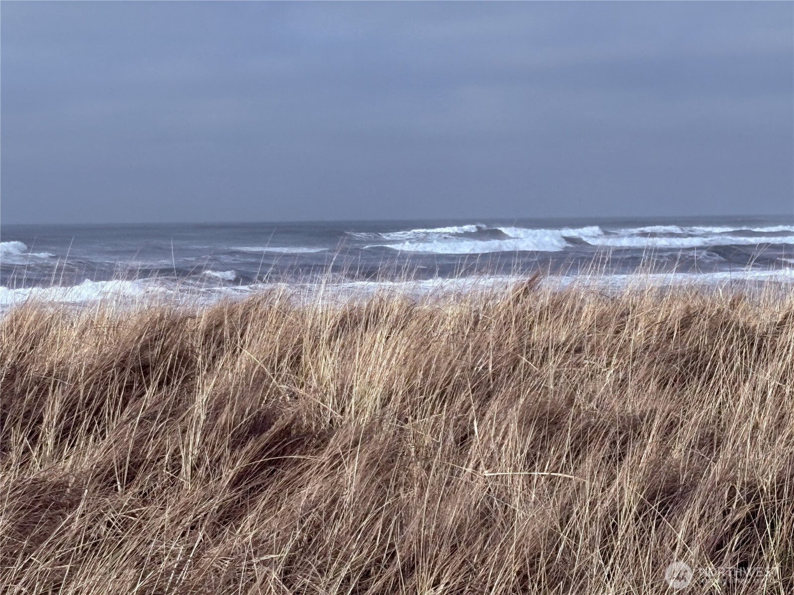 1399 Ocean Shores Boulevard SW 1N-J