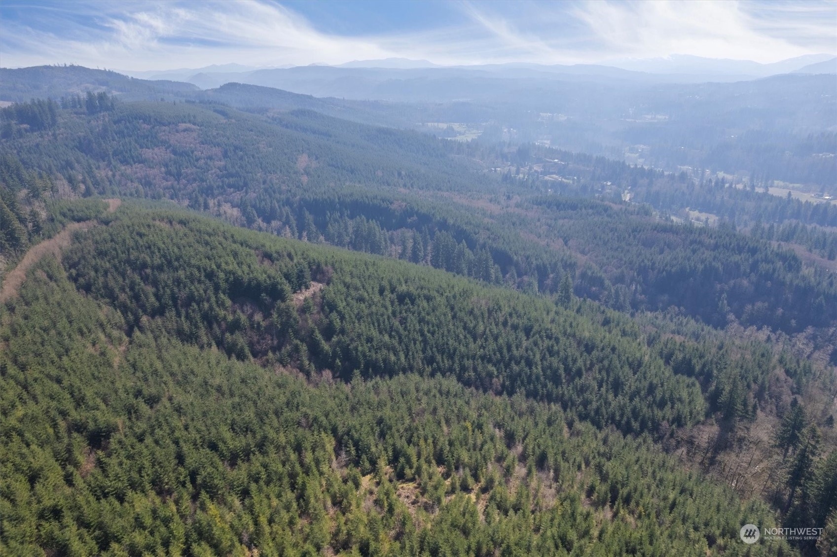 0 Cedar Mist