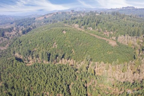 0 Cedar Mist Road Amboy WA 98601