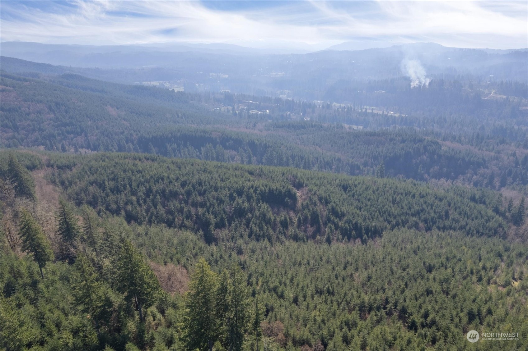 0 Cedar Mist
