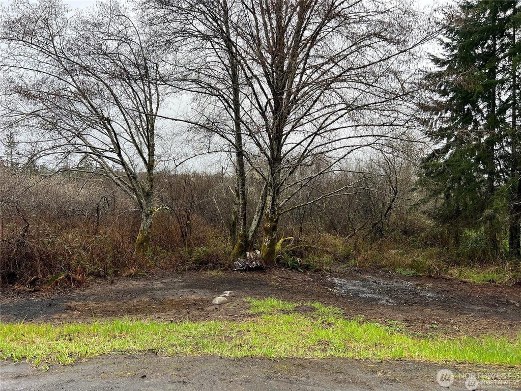 Photo of 0 X Willapa Road, Raymond, WA 98577 (MLS # 2538871)