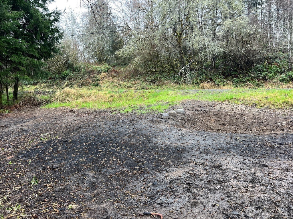 Photo of 0 X Willapa Road, Raymond, WA 98577 (MLS # 2538871)
